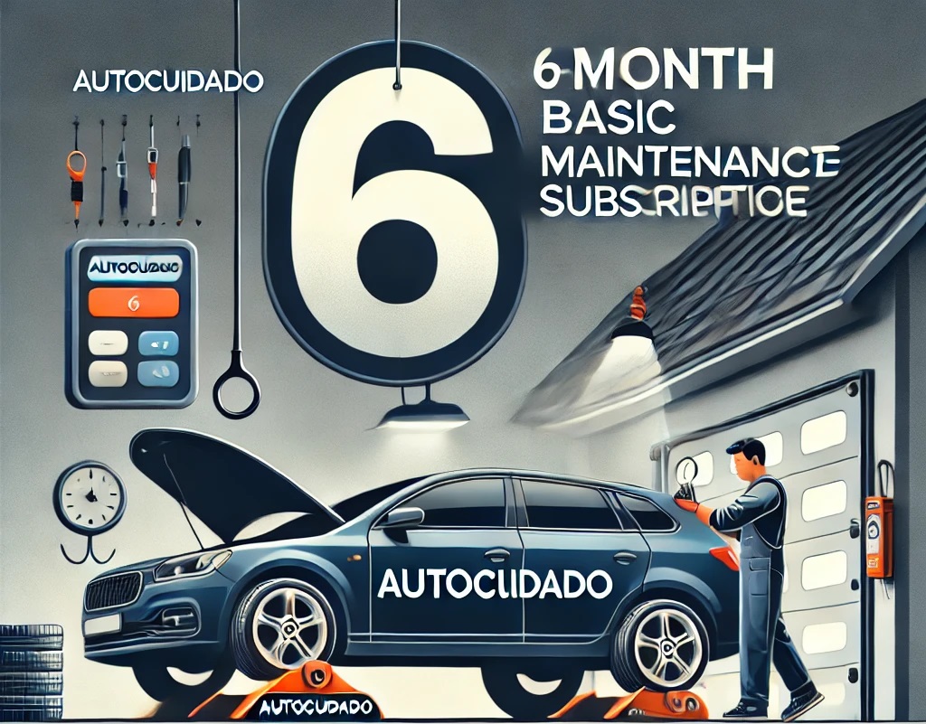 Plan Básico 6 meses